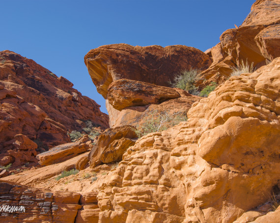 Calico Basin